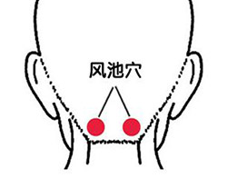 风池穴