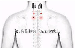 肺俞 肺俞